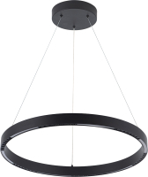 Потолочный светильник Arte Lamp Lao A2189LM-1BK - 