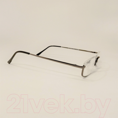 Готовые очки WDL Read p309 +1.25 (серебряный)