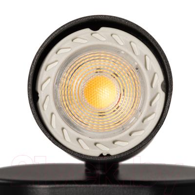 Спот Arte Lamp Aquarius A3226AP-1BK