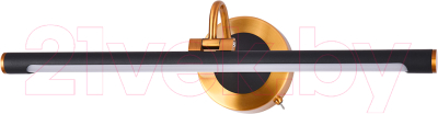 Подсветка для картин и зеркал Arte Lamp Sol A7908AP-1BK