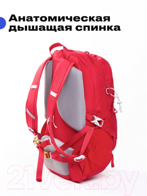 Рюкзак туристический RoadLike Outdoor / 407281 (красный)