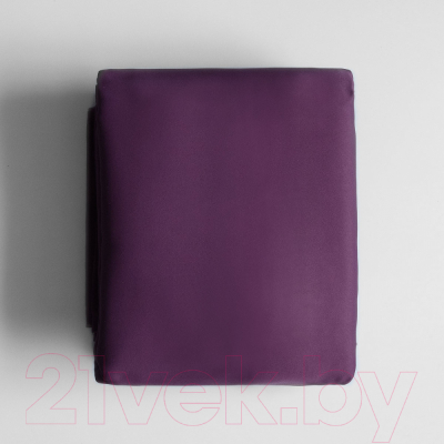 Шторы Pasionaria Блэквуд 280x270 (фиолетовый)