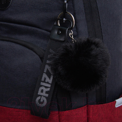 Рюкзак Grizzly RD-341-2 (черный/красный)