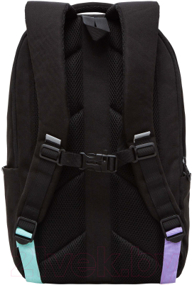 Рюкзак Grizzly RD-341-3 (черный/фиолетовый)