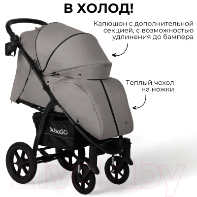 Детская прогулочная коляска Bubago Model Cross Air / BG 114-1 (лилово-серый)
