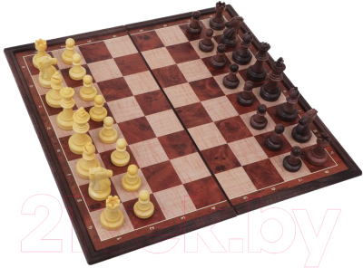 Шахматы Наша игрушка 3810-F