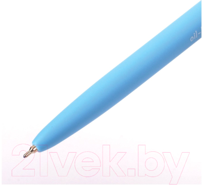 Набор шариковых ручек Brauberg Fruity Pastel / 880201 (12шт)