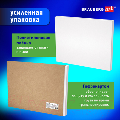 Набор холстов для рисования Brauberg Art / 880338 (2шт)