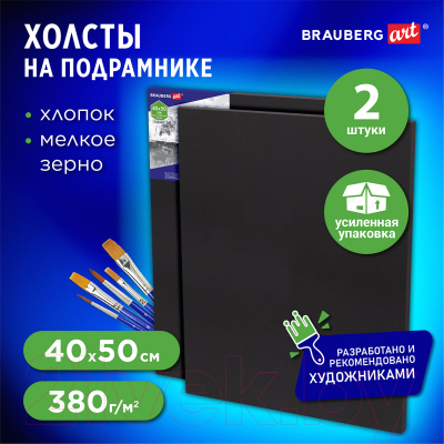 Набор холстов для рисования Brauberg Art / 880354 (2шт)