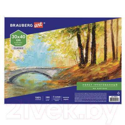 Набор холстов для рисования Brauberg Art Classic / 880348 (5шт)
