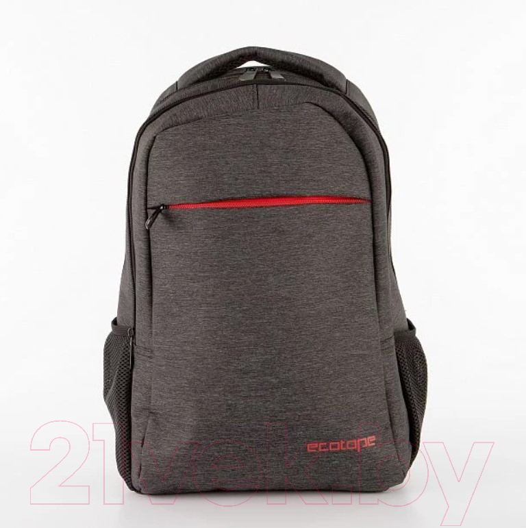 Рюкзак Ecotope 223-JS2023-GRY