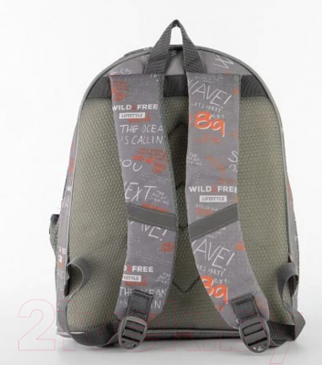 Детский рюкзак Ecotope +пенал / 380-2020-GCL (серый)