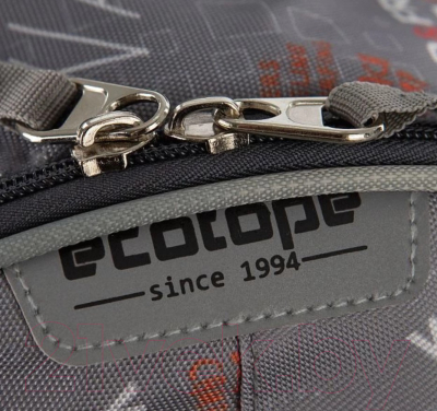 Детский рюкзак Ecotope +пенал / 380-2020-GCL (серый)