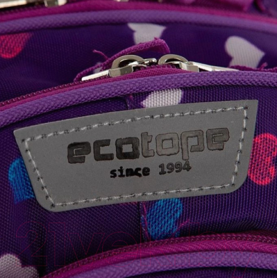 Детский рюкзак Ecotope +пенал / 380-2020-PCL (фиолетовый)