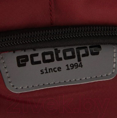 Рюкзак Ecotope 380-996-BRD (бордовый)