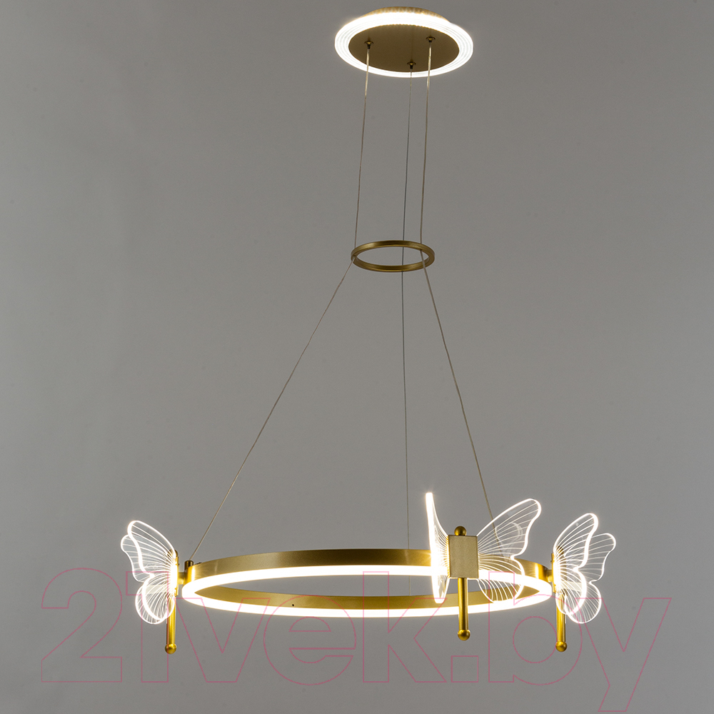 Потолочный светильник Arte Lamp Darcy A2187LM-1GO — фото 2