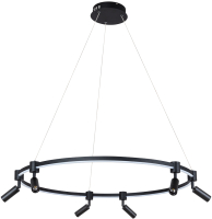 Потолочный светильник Arte Lamp Ring A2186SP-1BK - 