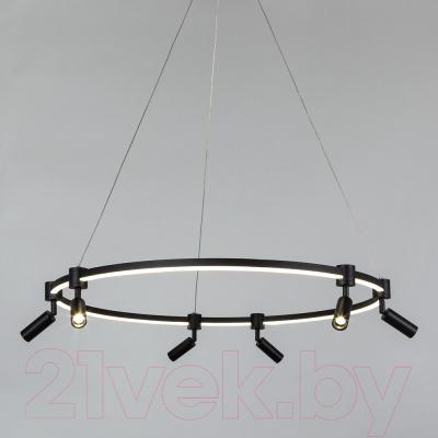 Потолочный светильник Arte Lamp Ring A2186SP-1BK