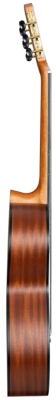 Акустическая гитара Cascha Stage Series CGC200 (с чехлом)