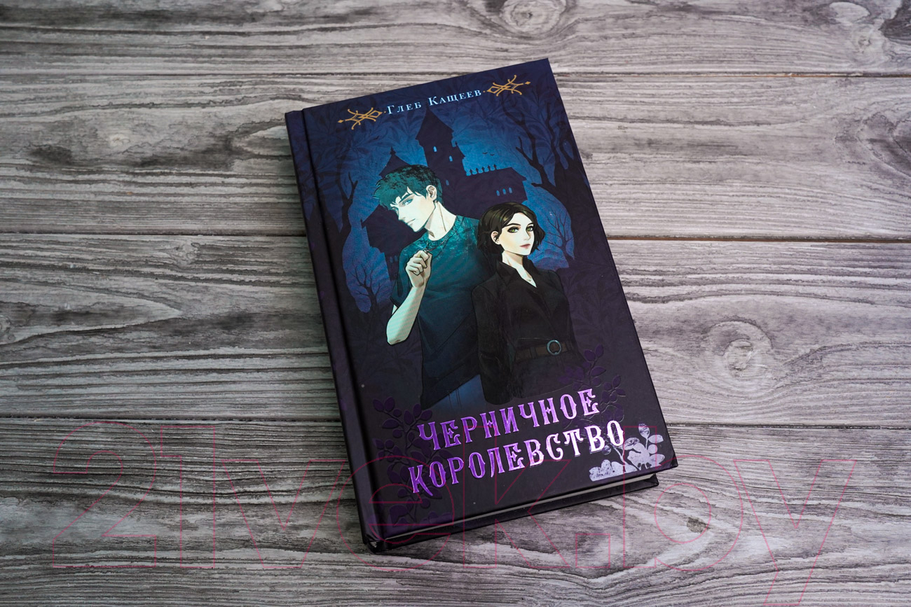 Художественная книга АСТ Черничное королевство (Кащеев Г.Л.) — фото 4