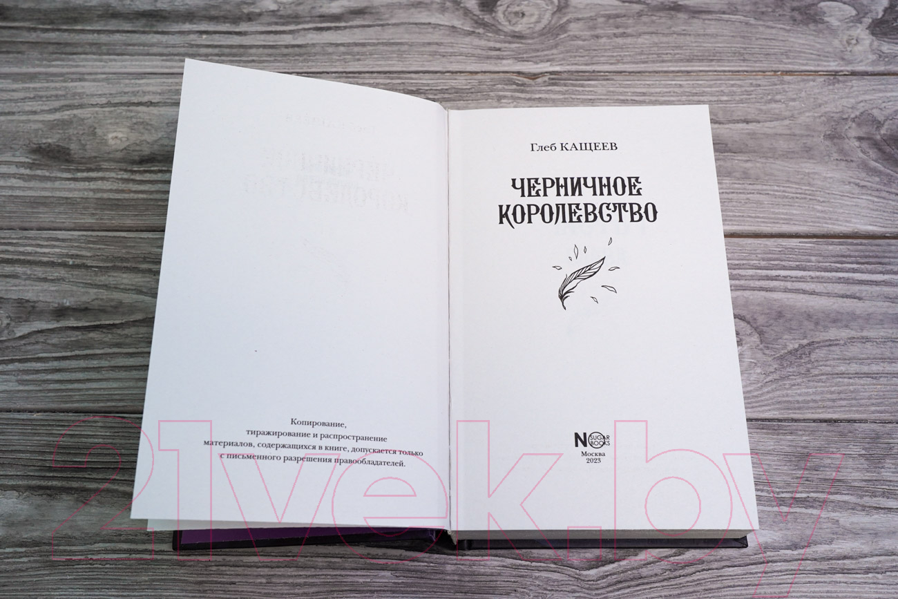 Художественная книга АСТ Черничное королевство (Кащеев Г.Л.) — фото 5