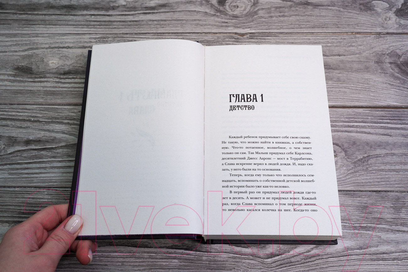 Художественная книга АСТ Черничное королевство (Кащеев Г.Л.) — фото 6