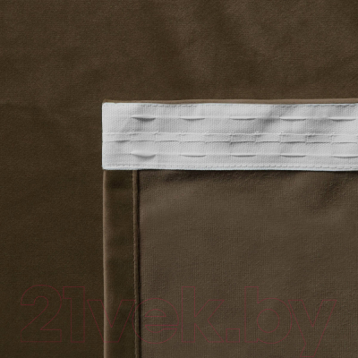 Комплект штор Pasionaria Бархат 290x260 (коричневый)