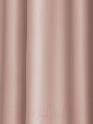 Шторы Pasionaria Блэквуд 400x260