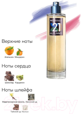 Парфюмерная вода Neo Parfum Motecule21 Autunno (100мл)