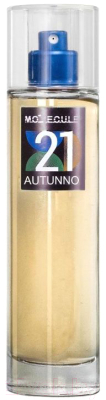 Парфюмерная вода Neo Parfum Motecule21 Autunno (100мл)