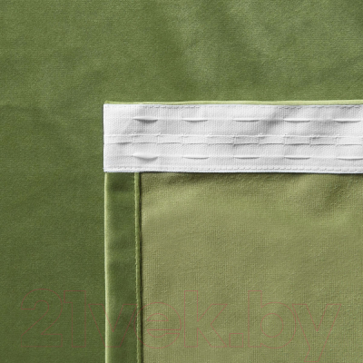 Комплект штор Pasionaria Бархат 290x270 (светло-зеленый)