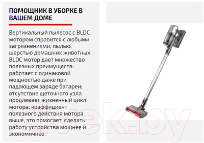 Вертикальный пылесос Brayer BR4265