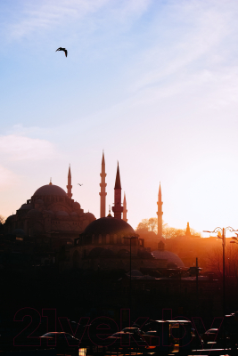 Картина Stamion Стамбул (20x30см)