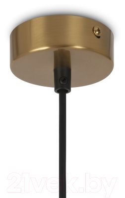Потолочный светильник Maytoni Ring MOD013PL-04BS1