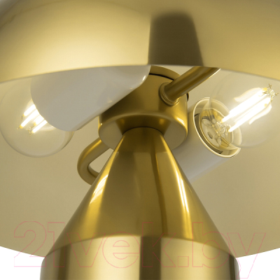 Прикроватная лампа Freya Eleon FR5218TL-01BS