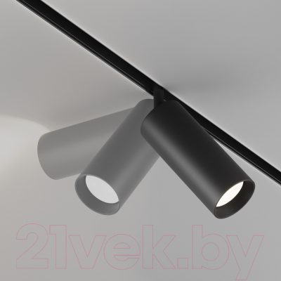 Изображение товара Трековый светильник Maytoni Focus LED TR032-2-20W4K-M-B