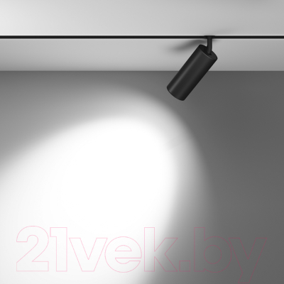 Изображение товара Трековый светильник Maytoni Focus LED TR032-2-20W4K-M-B