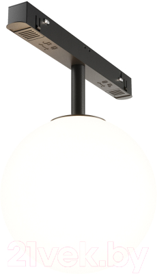 Трековый светильник Maytoni Luna TR038-2-5W4K
