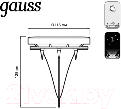 Светильник уличный Gauss GS001