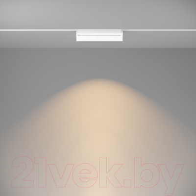 Изображение товара Трековый светильник Maytoni Basis Rot TR075-2-20W3K-W