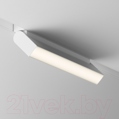 Изображение товара Трековый светильник Maytoni Basis Rot TR075-2-20W3K-W