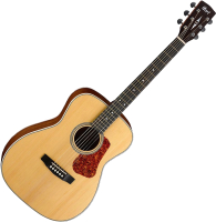 Акустическая гитара Cort L100C-NS - 