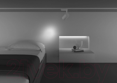 Изображение товара Трековый светильник Maytoni Vuoro TR003-1-26W4K-S-W