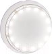 Миниатюра изображения товара Светодиодная лента Maytoni Led Strip 12В / 20003 (белый)