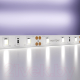 Миниатюра изображения товара Светодиодная лента Maytoni Led Strip 12В / 20003 (белый)
