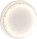 Миниатюра изображения товара Светодиодная лента Maytoni Led Strip 12В / 20011 (белый)