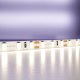 Миниатюра изображения товара Светодиодная лента Maytoni Led Strip 12В / 20011 (белый)