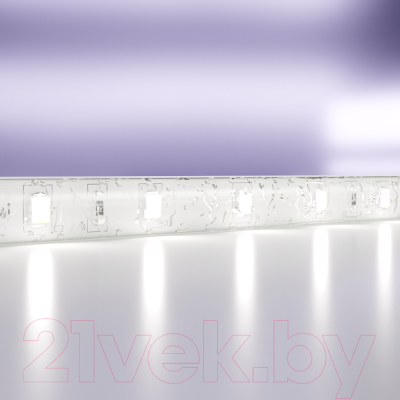 Изображение товара Светодиодная лента Maytoni Led Strip 24В / 20018 (белый)