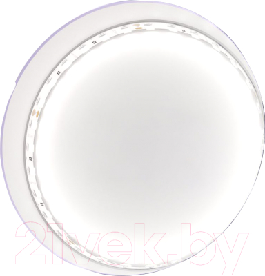 Изображение товара Светодиодная лента Maytoni Led Strip 24В / 20021 (белый)