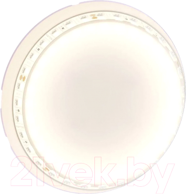 Изображение товара Светодиодная лента Maytoni Led Strip 24В / 20023 (белый)